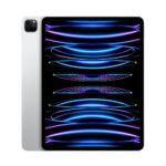 Apple iPad Pro 11 pollici M2 (2022) 4a generazione, Argento
